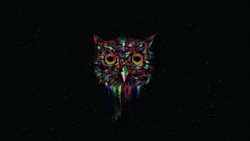 a psychedelicly designed owl with large eyes