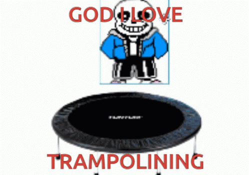 the trampolinine with an image of a smiling dog in front of it