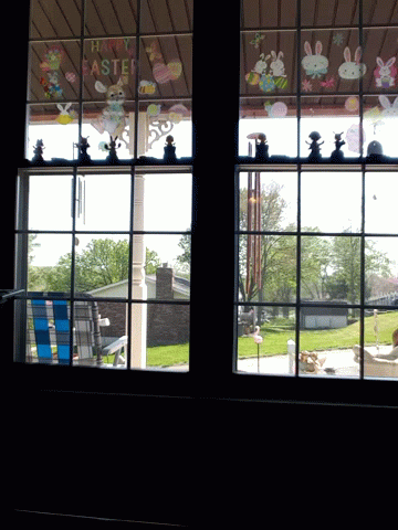 view from inside a building with an open window