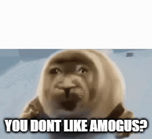 a meme with the caption you don't like amouse?