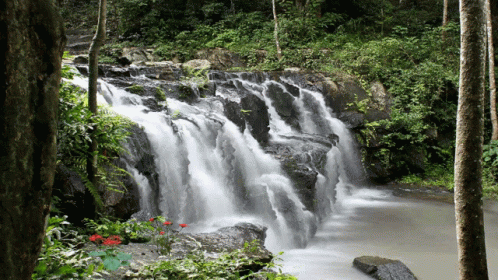 waterfall in a wooded area with many large rocks