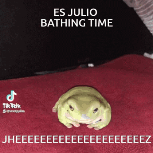 a bathroom with an image of a smiling frog lying on it's stomach