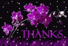 the words, thanks, and purple flowers against a black background