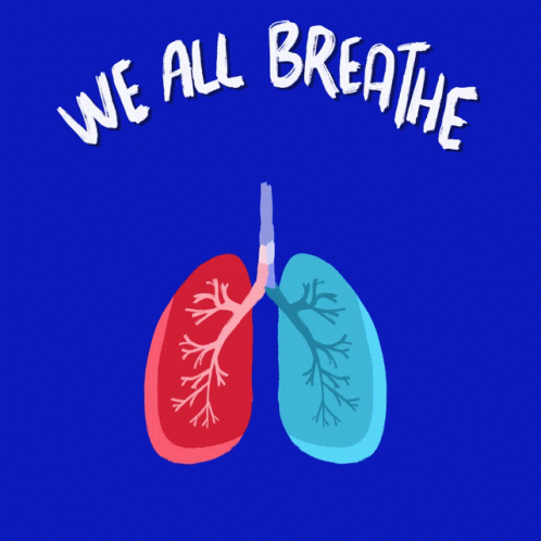 a red background with two human lungs