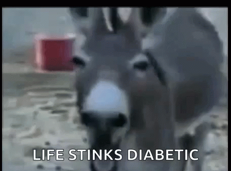 the words life stinks diabetic written across the picture of two donkey