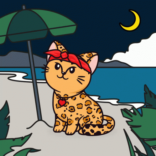a cat sitting under an umbrella on the beach