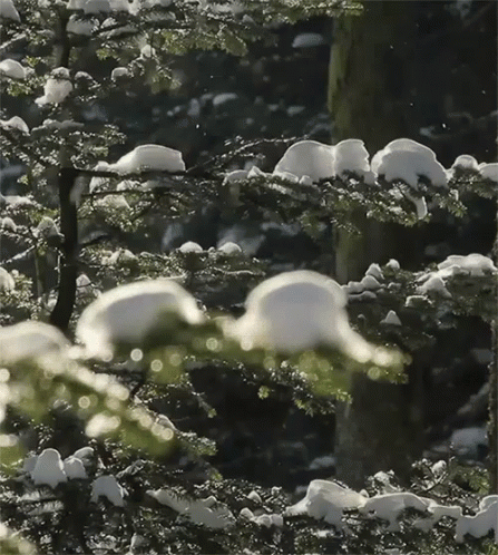 water is running through a bunch of snow