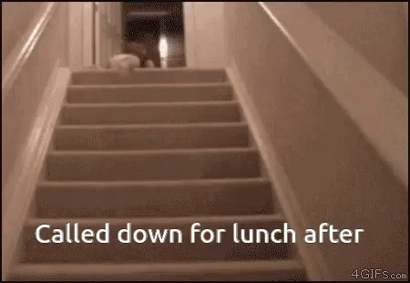 a dark po shows steps and the words called down for lunch after