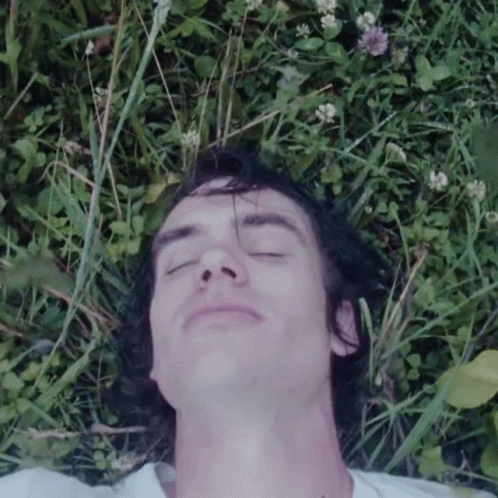 a man laying down in a field covered with grass and flowers
