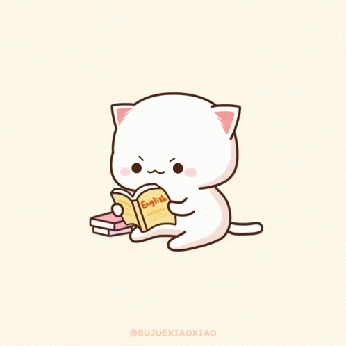 a white cat holding a book on the ground