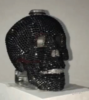 an artistic item that appears to be a skull on display