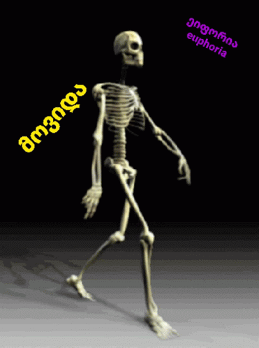 an animated skeleton is walking in the dark