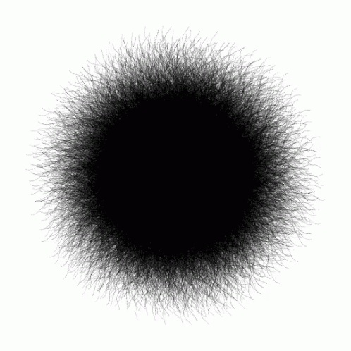 an image of a black circle with many different hair pattern