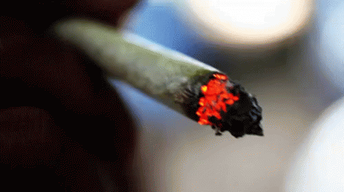a close up of a single stick of smoking cigarettes