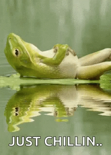 a fake frog has a fake frog that says just chillin
