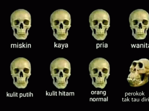 different types of skulls in multiple color choices