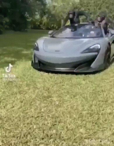 this car is floating on its side in the grass