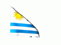 an image of a flag blowing in the wind