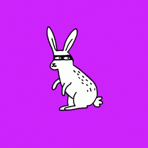 a white bunny with a dark mask on sitting