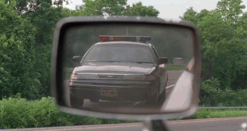 a pickup truck in a rear view mirror next to bushes