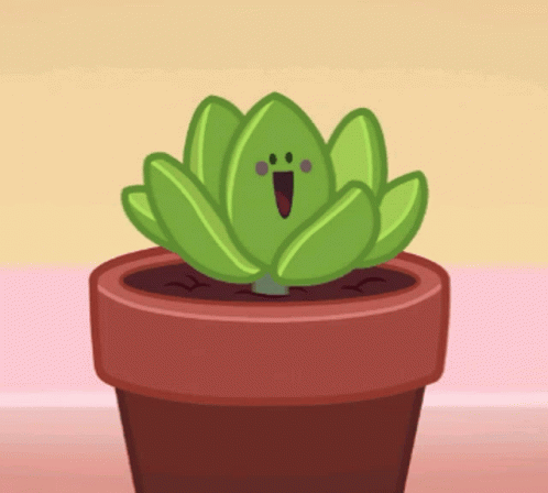 a green plant with an odd look on it