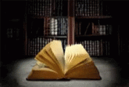 an open book is seen in front of a liry