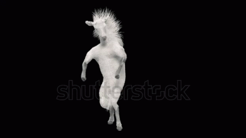 white horse with long white hair and tail standing in the dark