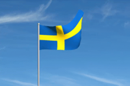 an animated flag waving in the wind