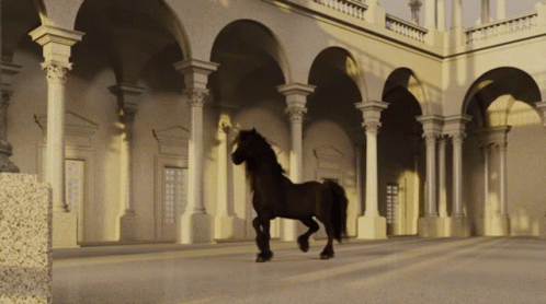 a horse is trotting in the middle of an outdoor courtyard