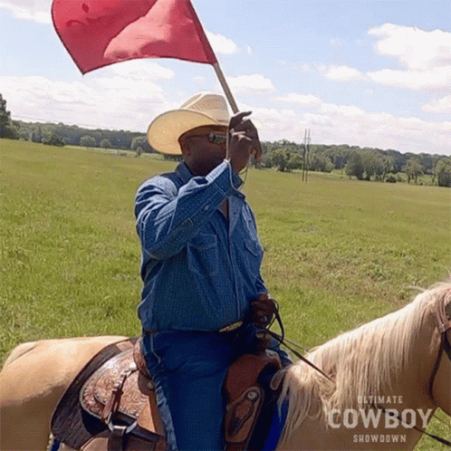 an person riding a horse with a flag in his hand