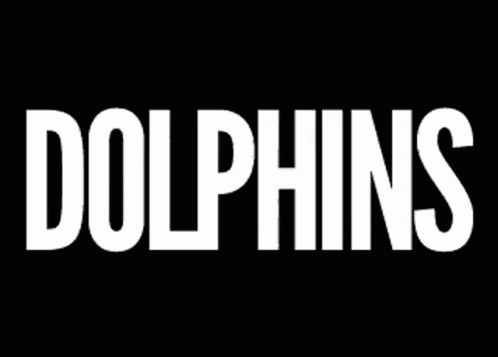 logo of dolpins and the word i am dolpins in white letters