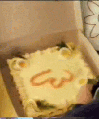 this cat was lying in the box and licking the cake