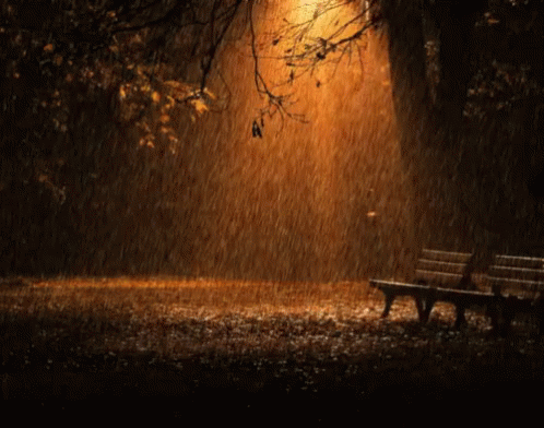 a park bench and lamp shine through the rain