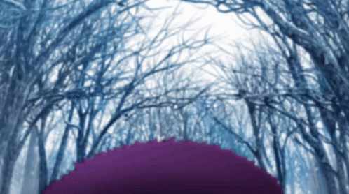 a person with a purple umbrella walking through a row of trees
