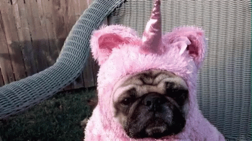 a pug dog with a unicorn outfit sitting on top of a lawn chair
