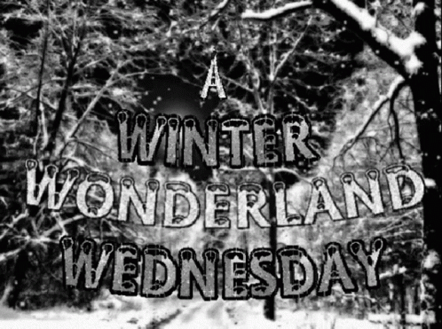 the winter wonderland wednesday poster is shown