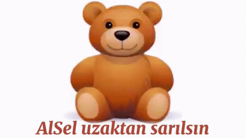a stuffed bear with the name alsel zuatan sarlisn on it