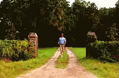 a person walking across a dirt road