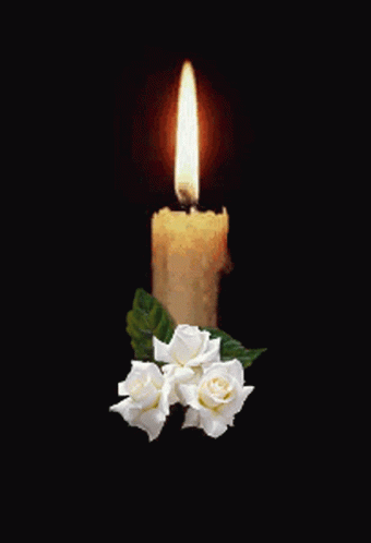 a candle with two white roses in front of it
