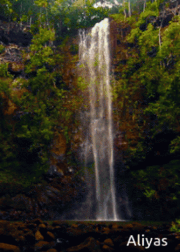a waterfall with a waterfall is in the background and there is a green forest on the other side