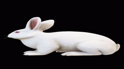 a small white rabbit figurine sitting up