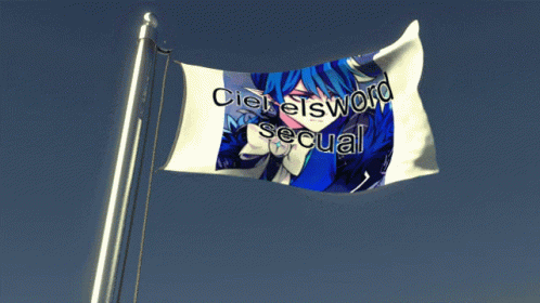 the cleveland equal social flag flying in the sky