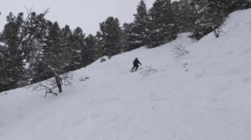 a person skis down a snowy hill with trees
