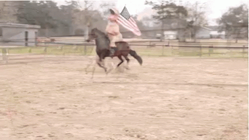 a person on a horse with a flag on its back