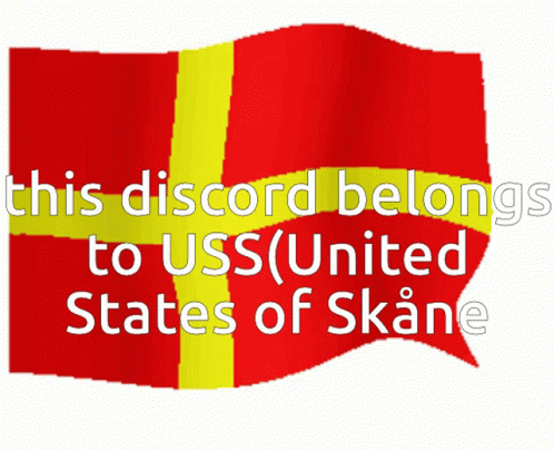 the logo for us united states of skaane
