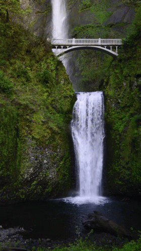 a man standing on a bench in front of a waterfall