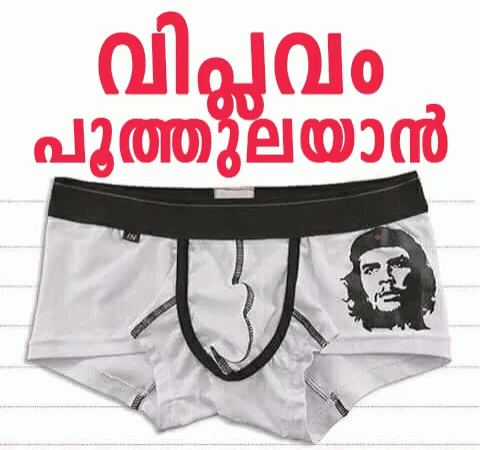 a pair of underwear with the image of a chemou