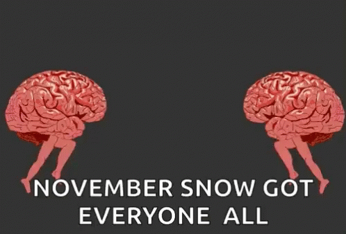 two pictures of a human and a in with text that reads november snow got everyone all