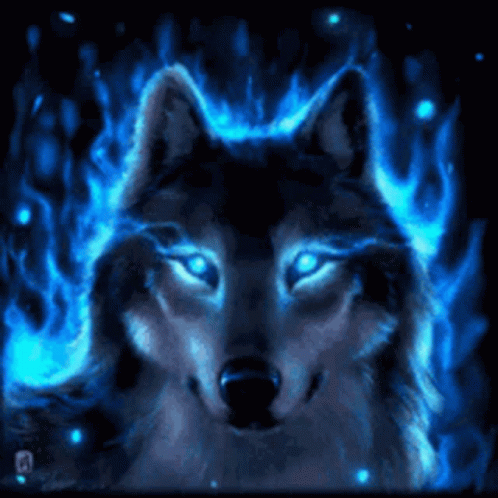 a wolf standing in front of a bright fire