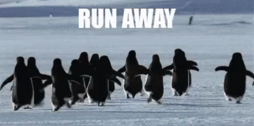 several penguins are walking with the word run away in white letters
